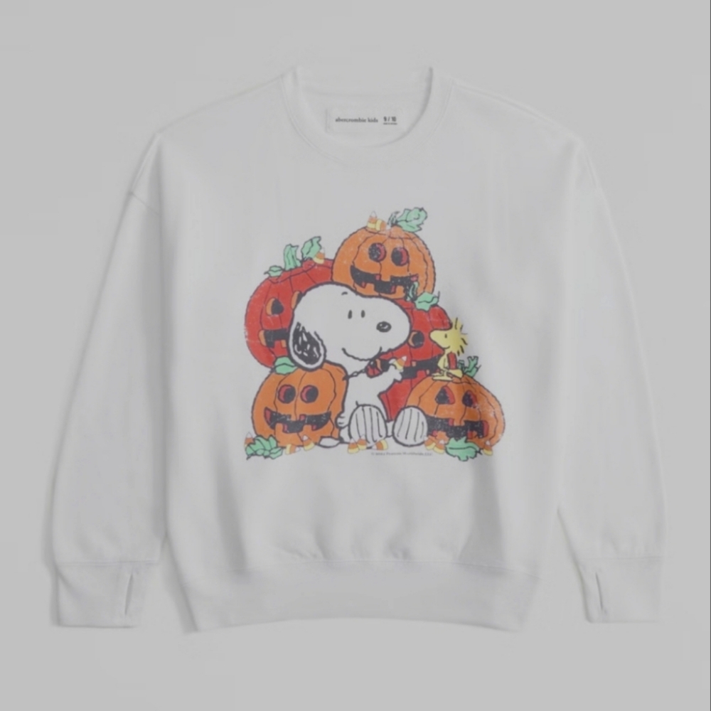 Abercrombie kids snoopy graphic crew sweatshirt Size 11/12